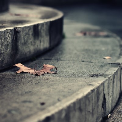 1920 x 1080 HD Wallpapers 1775